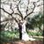 Calen Shea Cox's profile image
