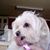Natalie Rosenberg's profile image