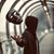 Luis Antonio B L's profile image