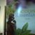 Doterra Esenciales's profile image