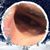 Brendan Prawdzik's profile image
