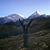Jessica Heppner's profile image