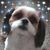 Candace Melton's profile image