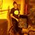 Shawn Schoone's profile image