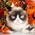 Lisa Mildner's profile image