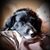 Lester Housley's profile image