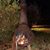 JerShe Rials's profile image