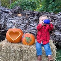 Holly Phenes's profile image