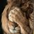 Mary Brian Wicinski's profile image