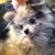 Sherri Weibye's profile image