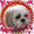 Terry Boyer's profile image