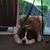 Jody McCauley Feigel's profile image
