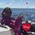 Tonya Powell Mashke's profile image