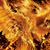 Joel Drescher's profile image