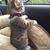 Patti L Fliflet's profile image