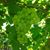 Samadhan Thorat's profile image