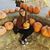 Paulina Velarde's profile image