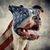 Jason Micelli's profile image