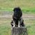 Kay Burrs's profile image
