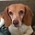 Mandy Bates's profile image