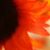 Jeanine Ford's profile image