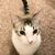 Kimberly Miller's profile image
