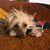 Sandra Brunsell's profile image