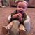 Sandy Gipson Greene's profile image
