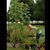 Kelly Petrovich's profile image
