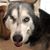 Barb Killian-Breezee's profile image