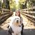 Heidi Hickman's profile image
