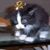 Willy Johns's profile image