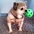 Laurie Mae Chute's profile image
