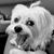 Eric Fazekas's profile image