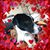 Judy Frewaldt's profile image