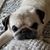 Jen Dunkle's profile image