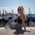 Natasha Nowakowski's profile image