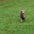 Leslie Hutchings Miller's profile image