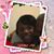 Shelton Foster's profile image