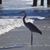 Evelyn Noden's profile image