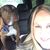 Jill Hamlin Hart's profile image