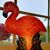 Julie Cramer Bennett's profile image