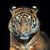 Ginny A Zinn's profile image