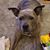 Carrie Martin's profile image
