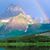 Lizzi Brown's profile image