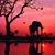 Carol Fisher-Burley's profile image
