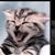 Cynthia Juda's profile image