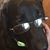 Leah Keith's profile image