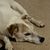Lynn Gregovich Eash's profile image