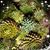 Billie Ann Neal- Schwab's profile image